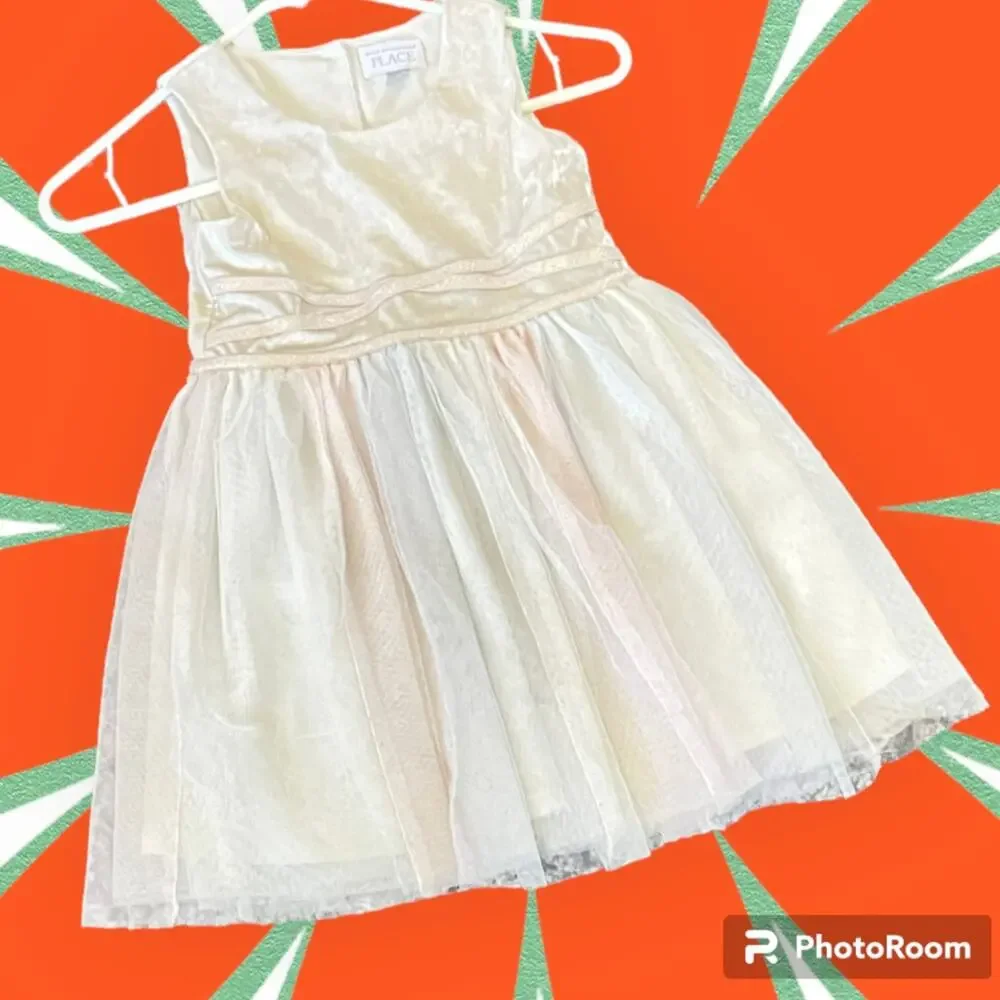 The Children’s Place Ivory Velvet & Tulle Dress Size 5T